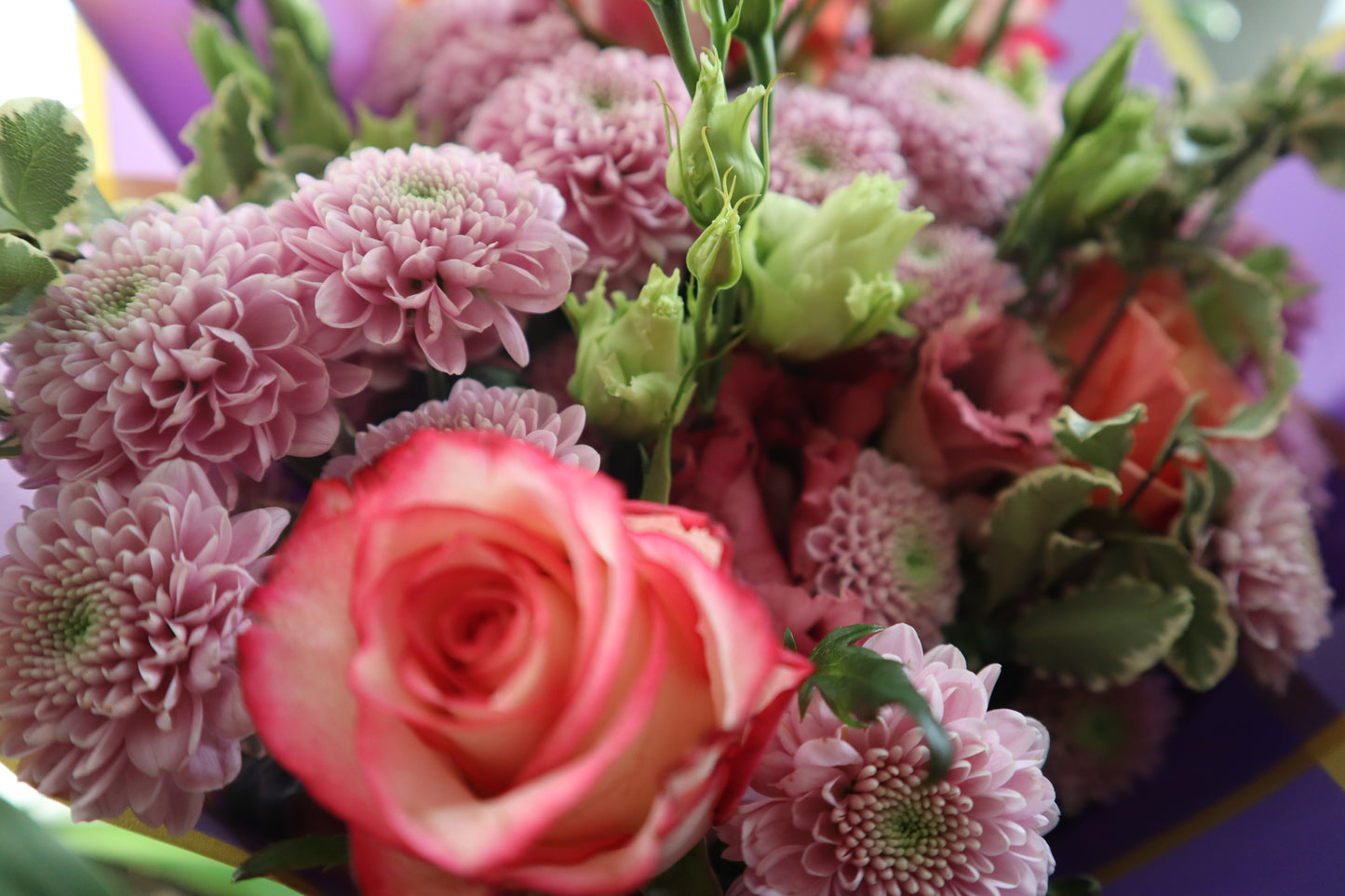 "Pink Passion"